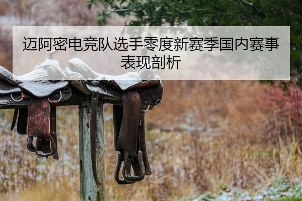 迈阿密电竞队选手零度新赛季国内赛事表现剖析